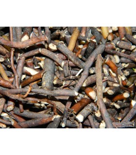 Κυπαρίσι ξύλο -  Curpressus Sempervirens