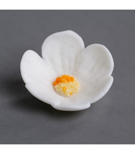 Διακοσμητική Μαργαρίτα Τριφύλλι