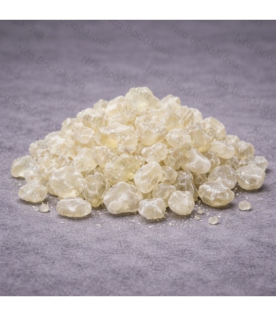 Μαστίχα Χίου