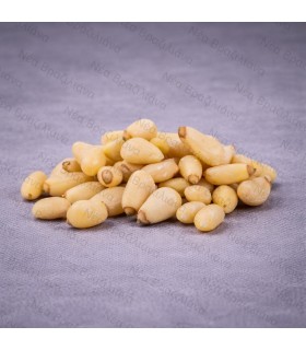 Κουκουνάρι