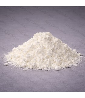 Αλουμπουμίνη Σκόνη (ασπράδι αυγού).