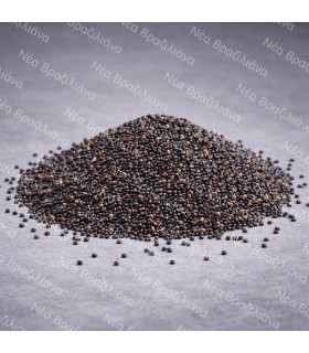 Κινόα (Χηνοπόδιον) Μαύρη