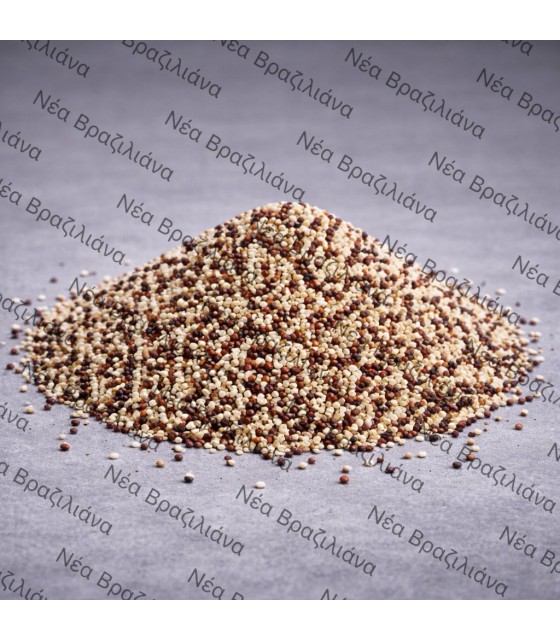 Κινόα (Χηνοπόδιον) Τρίχρωμη