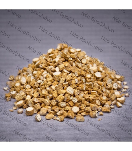 Τζίνσενγκ (Panax Ginseng)