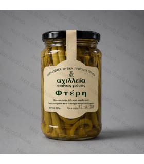 Φτέρη