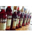 CAMPARI