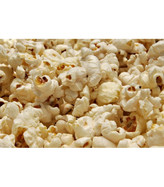 Popcorn / Ποπκόρν μηχανή KARAMCO 