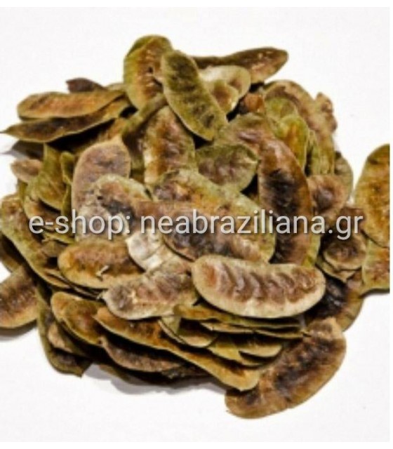 Φύλλα Αλεξανδρείας ή φύλλα Αιγύπτου.