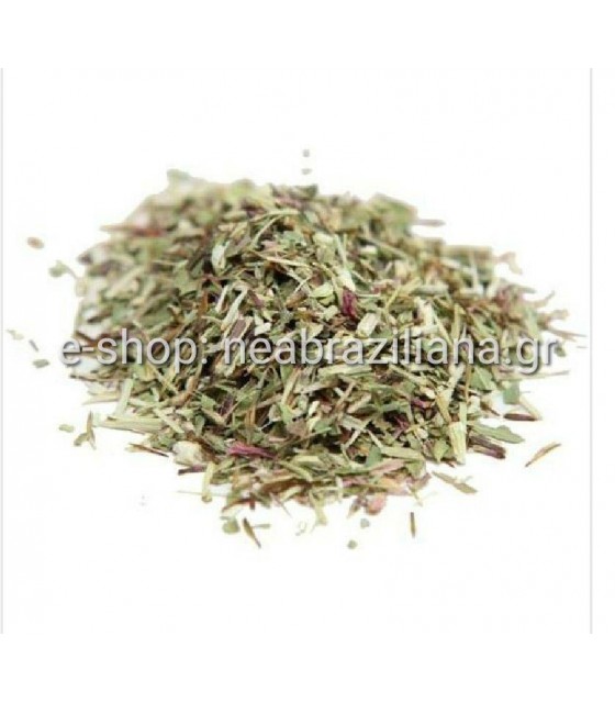 Εχινάκεια-Echinacea-Εχινάτσια