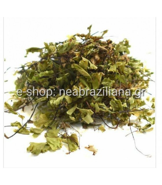 Το Αγριμόνιο (Agrimonia eupatoria ή φωνόχορτο)