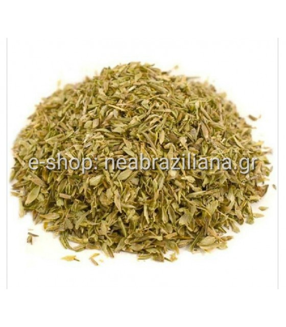 Το θυμάρι ή θύμιο- Thymus vulgaris