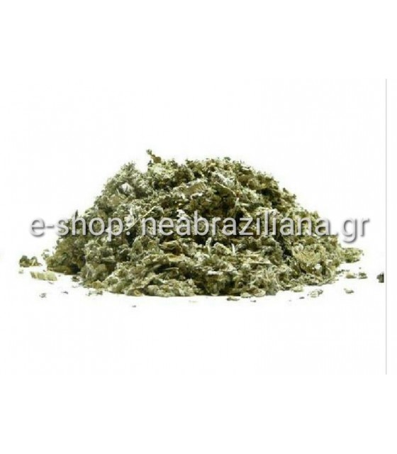 Αγκινάρα (Cynara cardunculus, Κυνάρα η καρδονίσκη ή αλλιώς Κυνάρα η κάκτος)