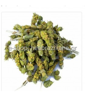 Τσάι Βουνού - Sideritis