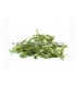 Λουΐζα( Lippia citriodora)