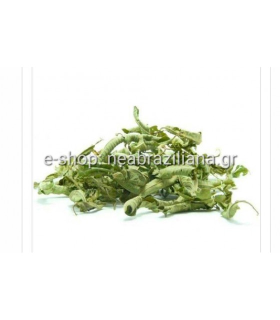 Λουΐζα( Lippia citriodora)