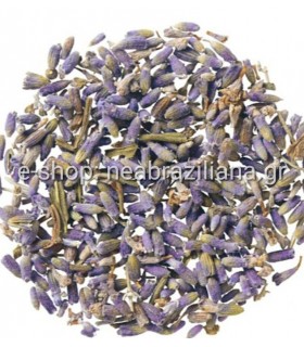 Λεβάντα (Lavandula)