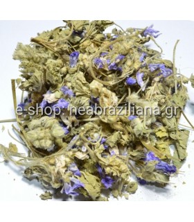 Μολόχα -  Malva silvestris