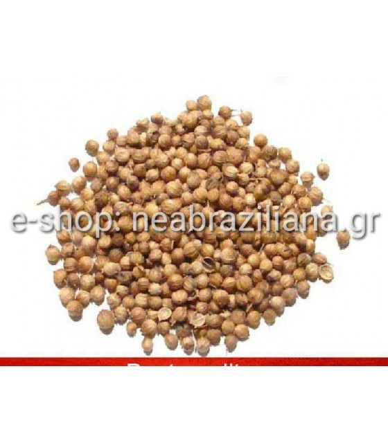 Κόλιανδρος (Coriandrum sativum)