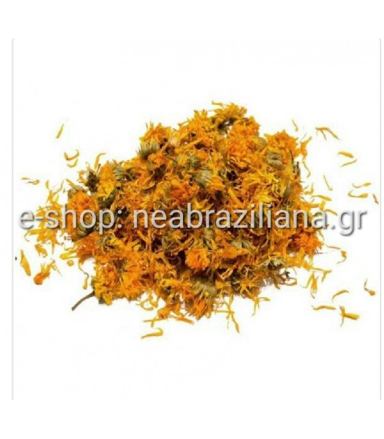 Καλέντουλα- Calendula officinalis