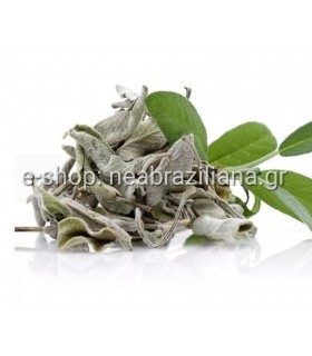 Φασκόμηλο - Greek Sage