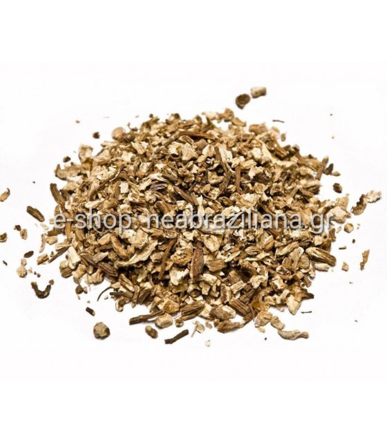 Αγγελική, Η ρίζα του Αρχαγγέλου.