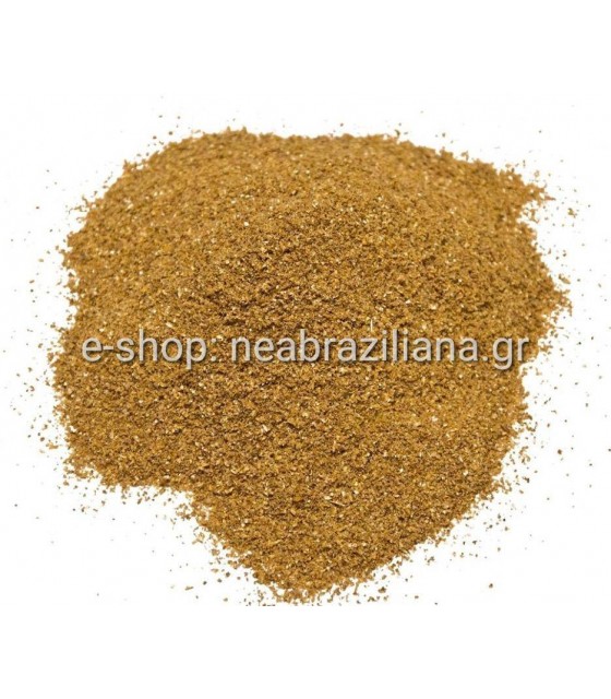 Κόλιανδρος (Coriandrum sativum)