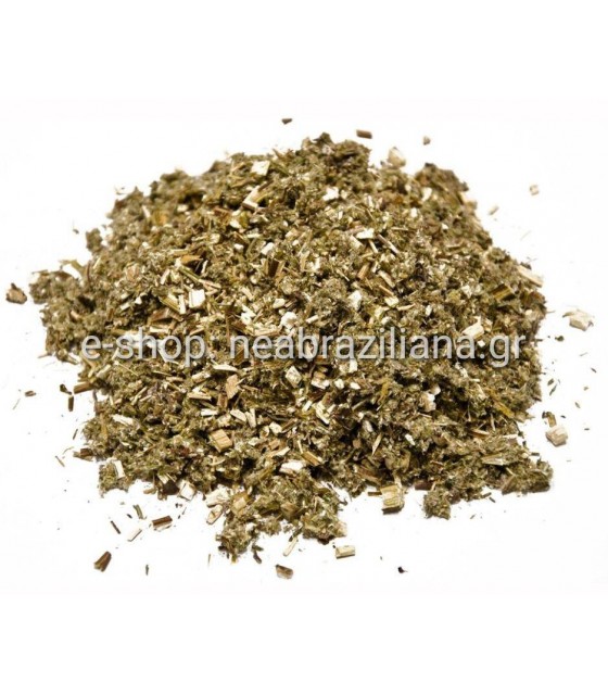 Αψιθιά-Artemisia Absinthium