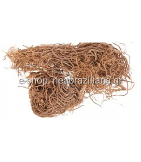 Βαλεριάνα  Valeriana officinalis