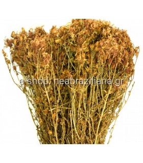 Βάλσαμο  ή  Βαλσαμόχορτο  ή  Σπαθόχορτο