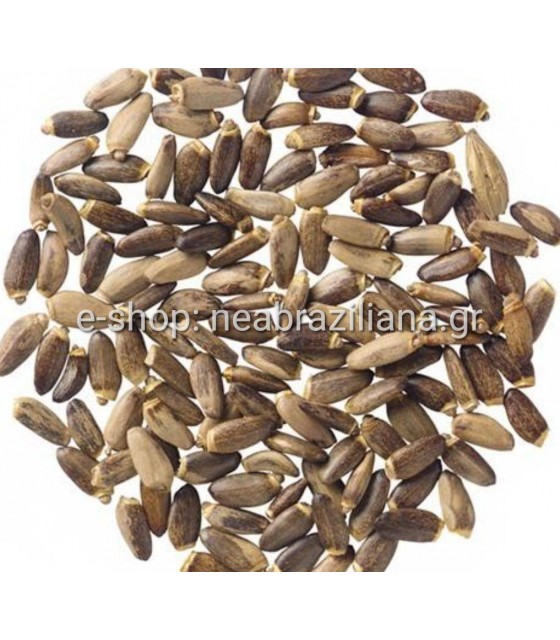 Γαϊδουράγκαθο-Silybum marianum