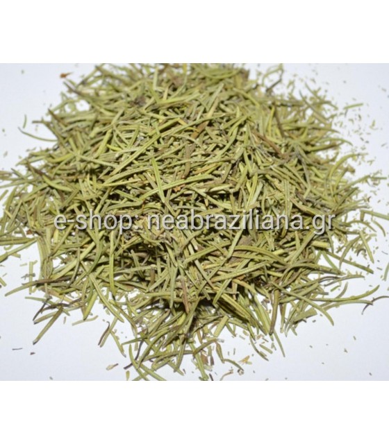 Δενδρολίβανο-Rosmarinus officinalis