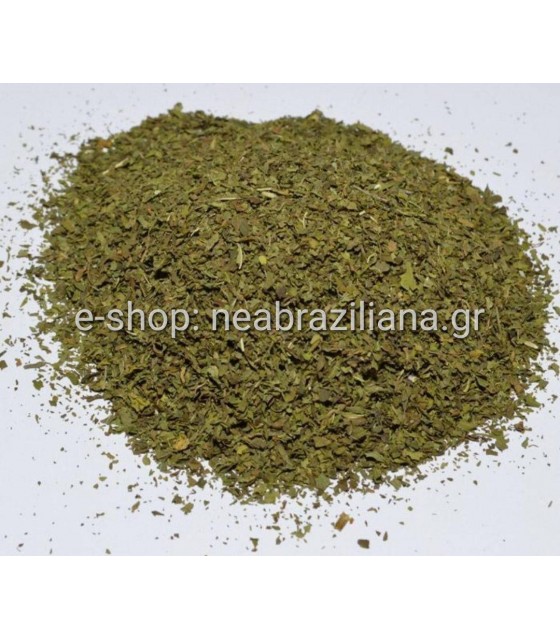 Ο Δυόσμος ( Mentha spicata, Μίνθη η σταχυώδης)