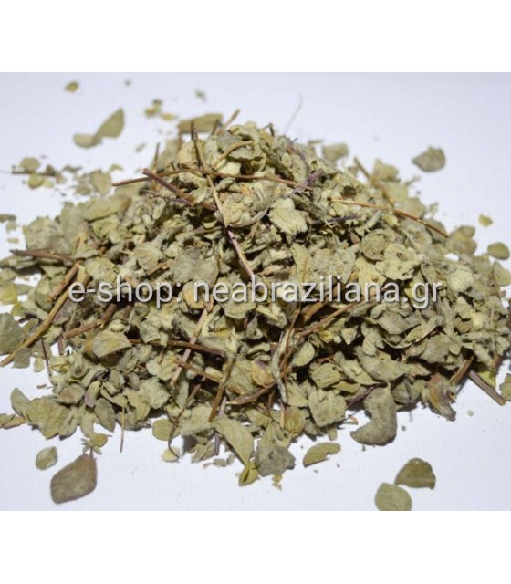 Το Δίκταμο (η έρωντας) (Origanum dictamnus, Ορίγανον το δίκταμνον)