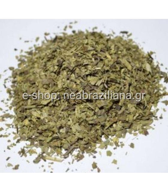 Εστραγκόν  (Artemisia dracunculus)