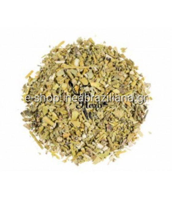 Ζαμπούκος ή σαμπούκος (Sambucus nigra)