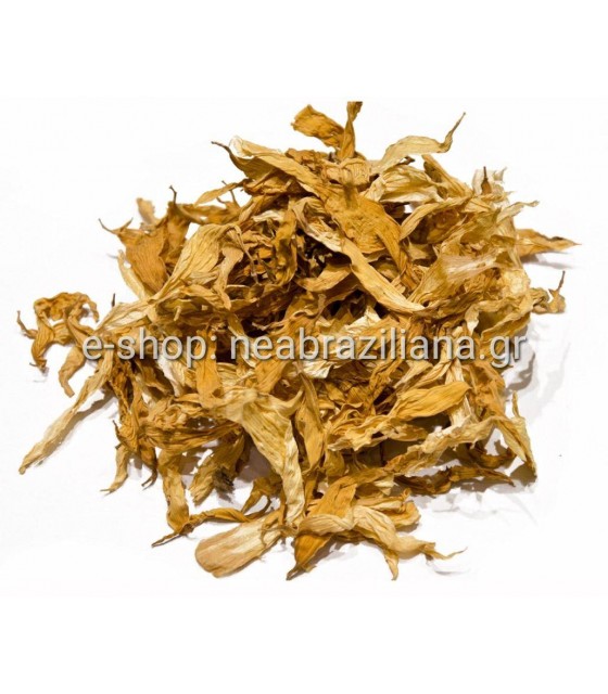 Ηλίανθος- Ηλιοτρόπιο