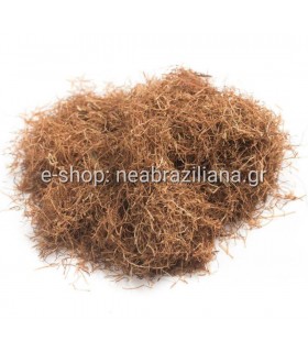 Καλαμποκιού Γένια ( Maidis stigmata conc ) ( Corn silk cut )