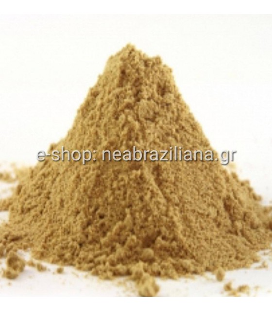 Πιπερόριζα - Ginger