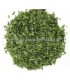 Μαΐντανός ( Parsley)