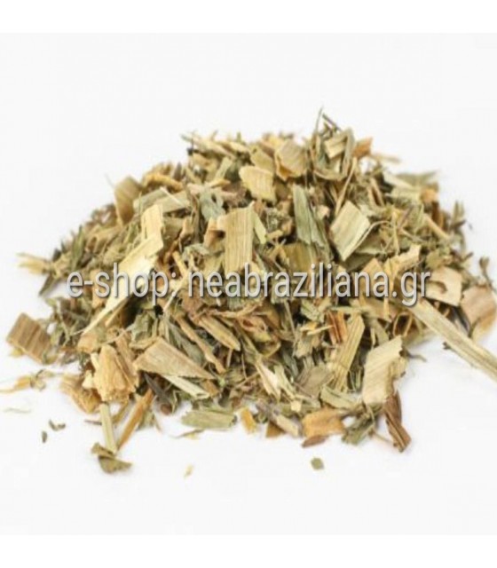 Κόκκινο Τριφύλλι (Trifolium pratense)