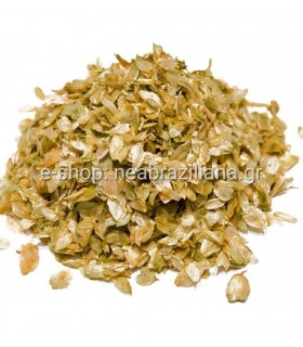 O ΛΥΚΙΣΚΟΣ ( Humulus Lupulus)