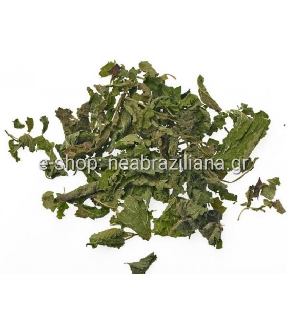 Μελισσόχορτο - Melissa Officinalis