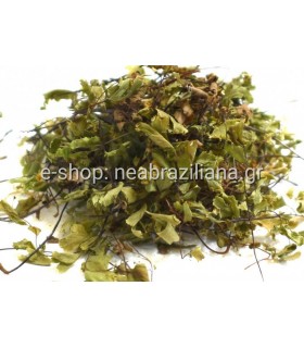 Πολυτρίχι ή Αδίαντο (Capillus veneris)