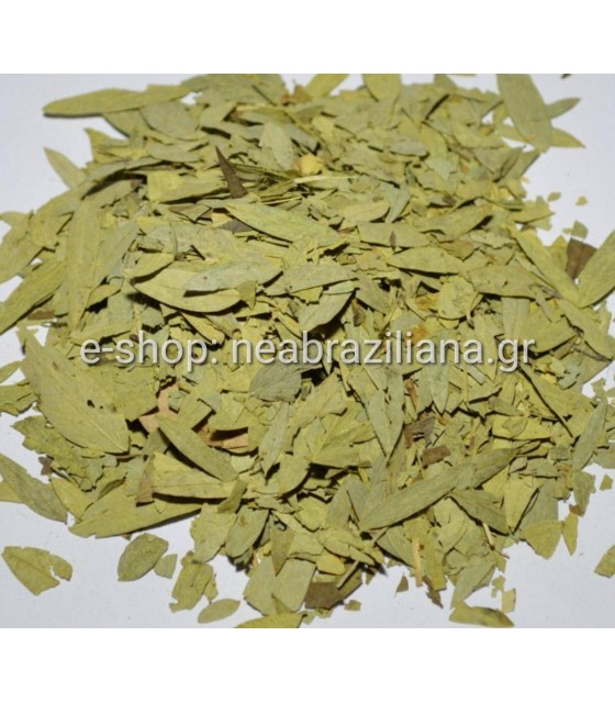 Σιναμική - Senna