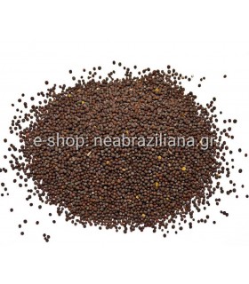 Σινάπι - Sinapis