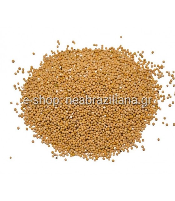 Σινάπι - Sinapis