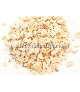 Χρένο (Armoracia rusticana)(Horseradish)