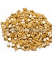 Τζίνσενγκ (Panax Ginseng)
