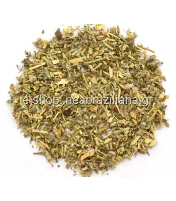 Τριβόλι (Tribulus terrestis)