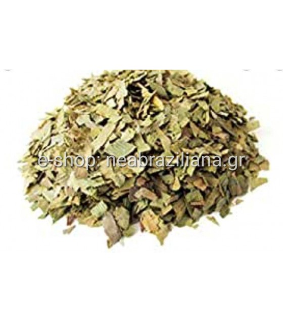 Τζίνγκο Μπιλόμπα (Ginkgo Biloba)